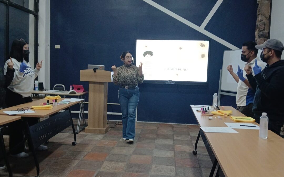 Fortaleciendo la profesionalización docente: Alineación al estándar EC0217.01 en CECLAB