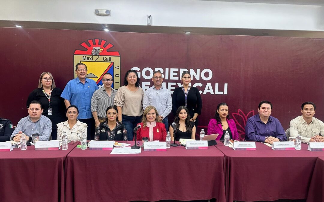Participación de la Coordinación de Proyectos de Educación Especial en la Primera Sesión Ordinaria 2026 del SIMPINNA Mexicali